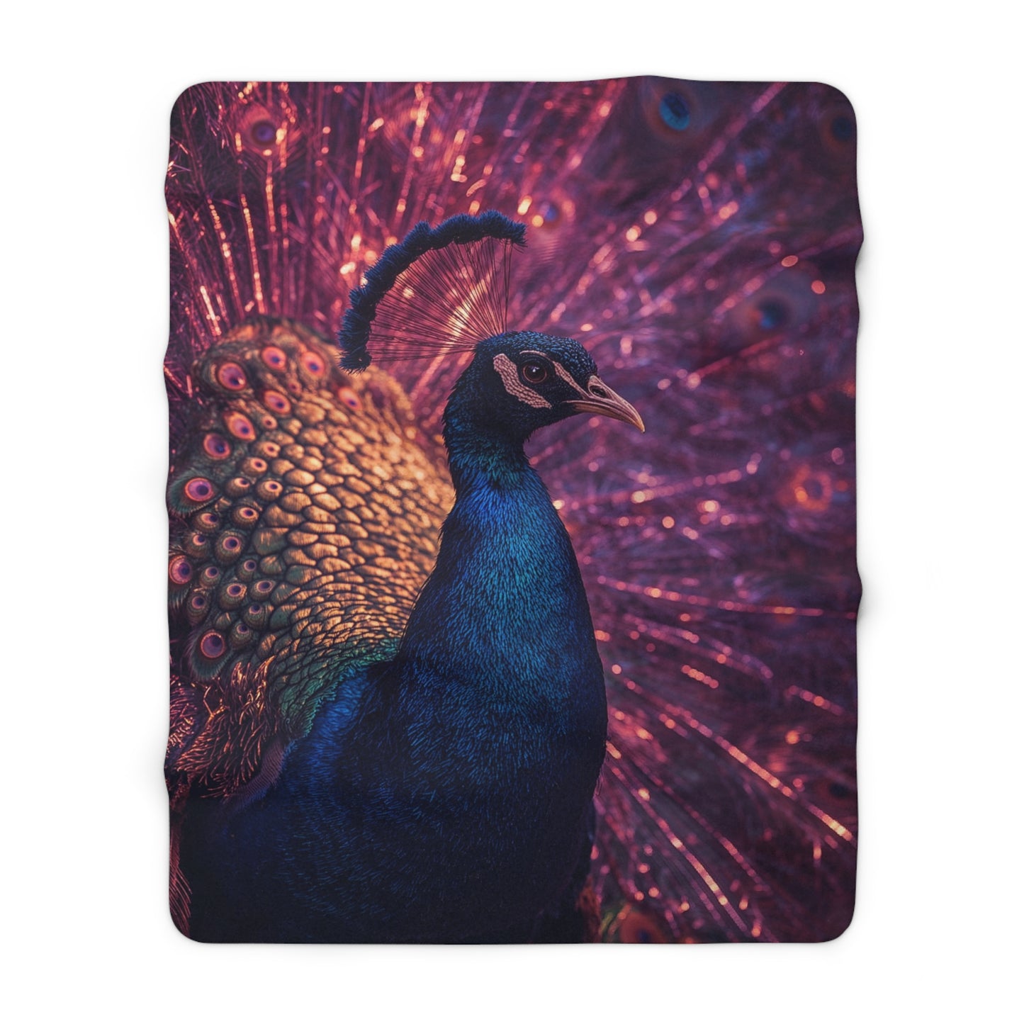 The Peacock's Glow