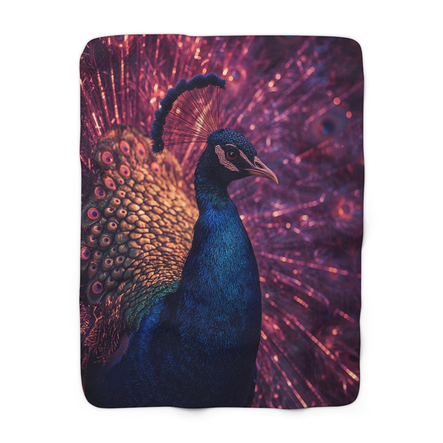 The Peacock's Glow